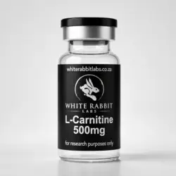 L-Carnitine 500mg