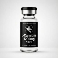 L-Carnitine 1200mg/ml